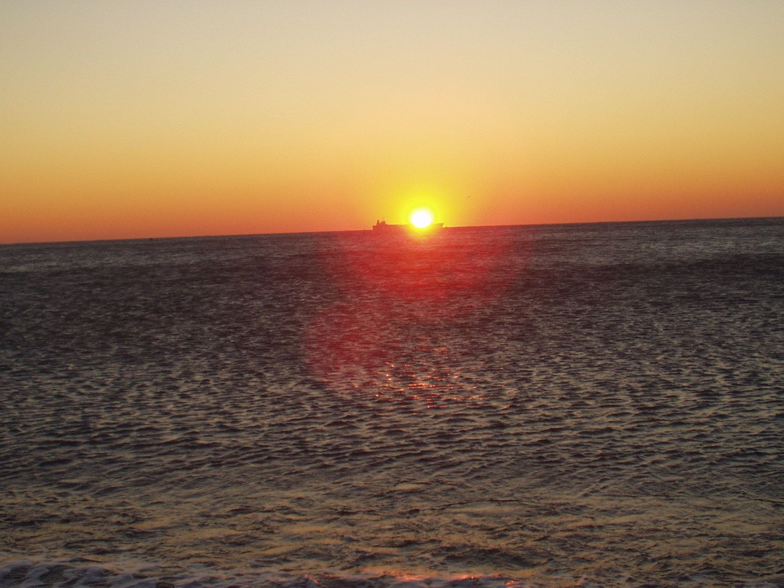 128.-P1010180.JPG