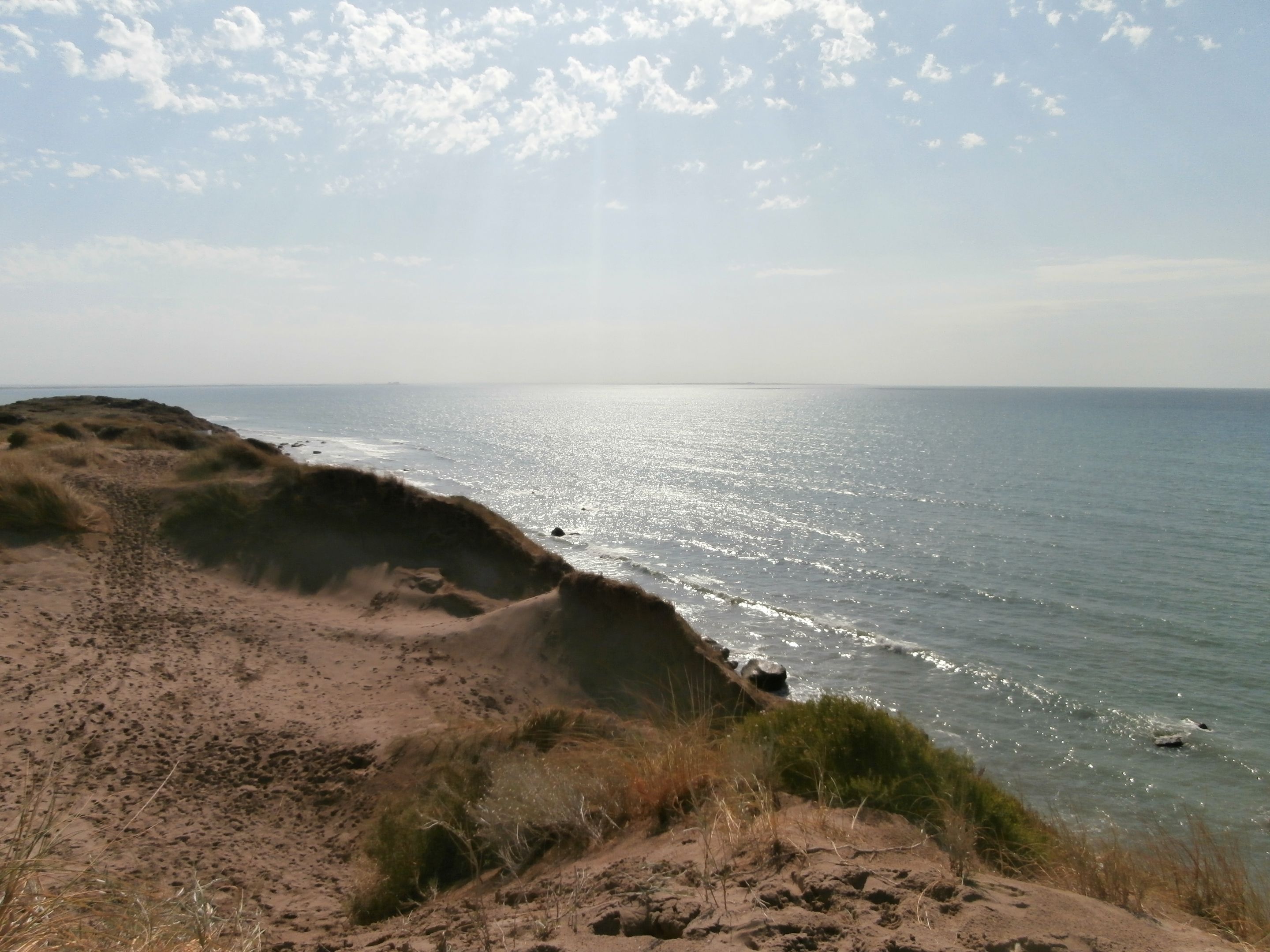 294.-P1200116.JPG