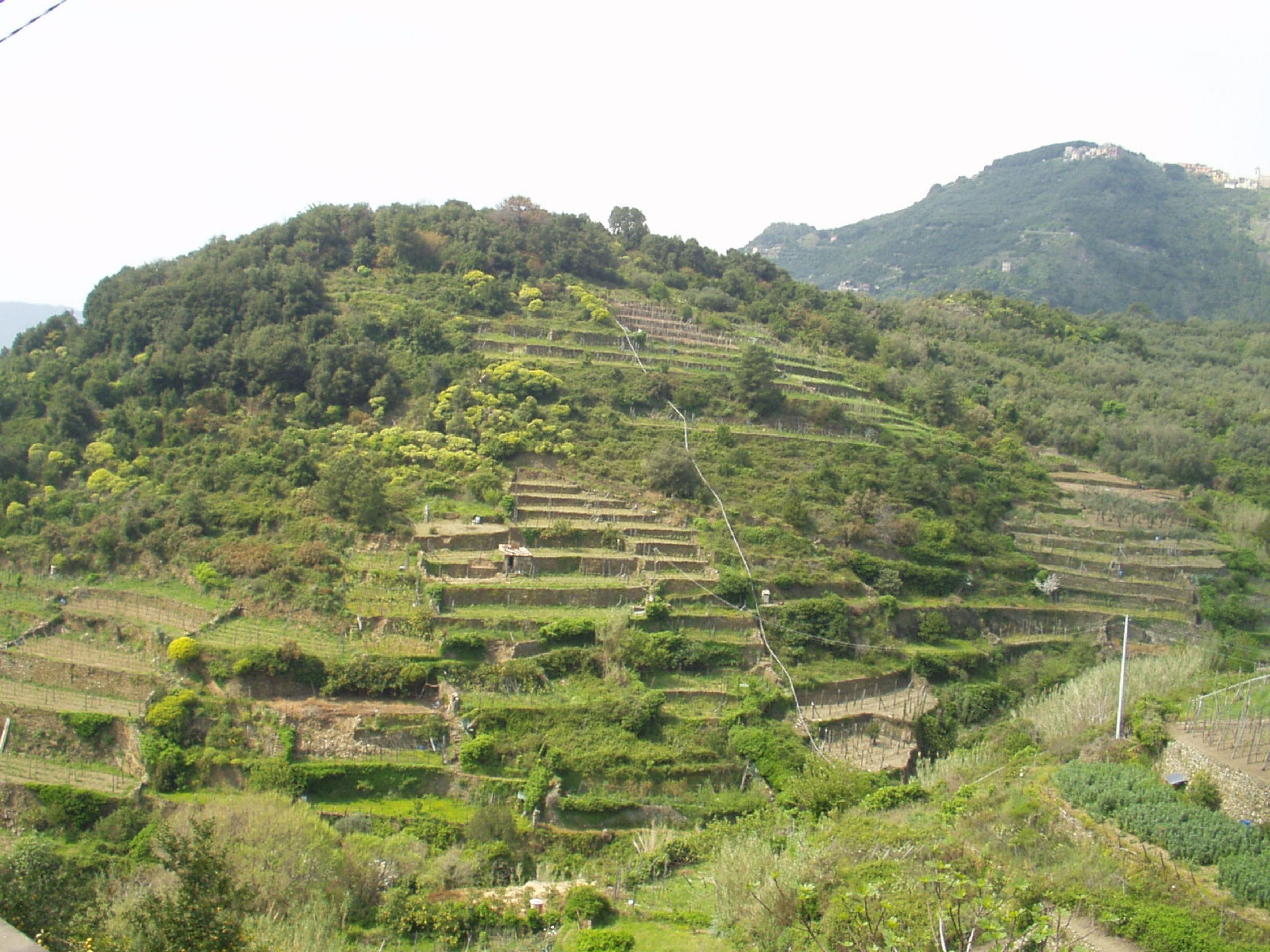 193.-P5210061.JPG