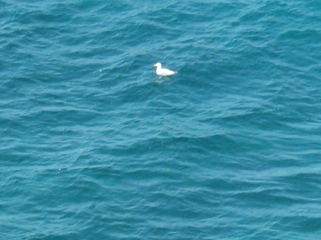 309.-SARDEGNA 2009 506.jpg