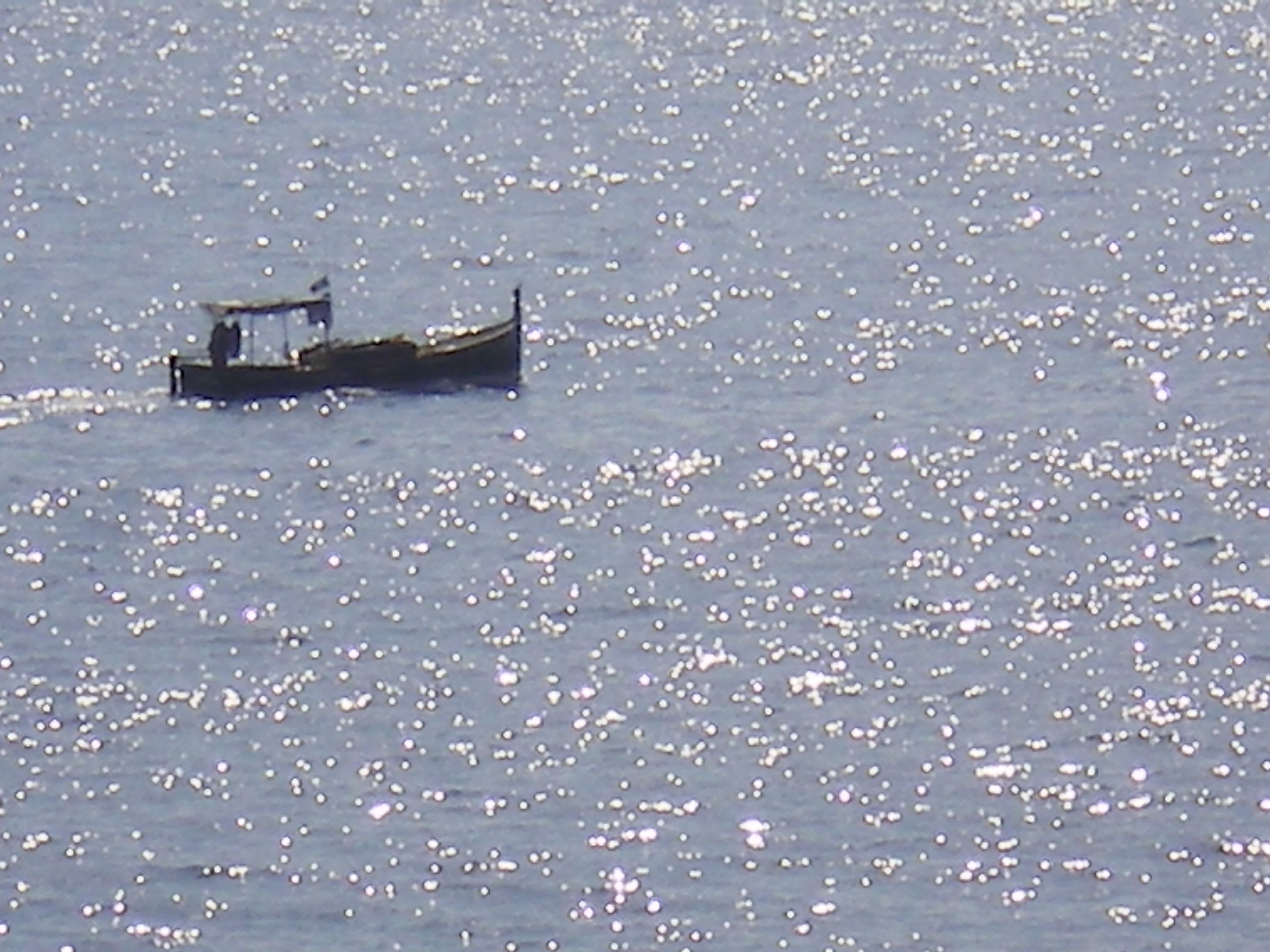 193.-IMGP1292.JPG