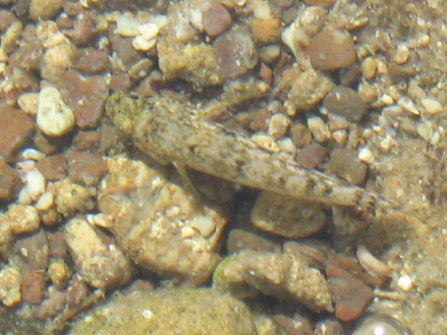 323.-SARDEGNA 2009 304.jpg