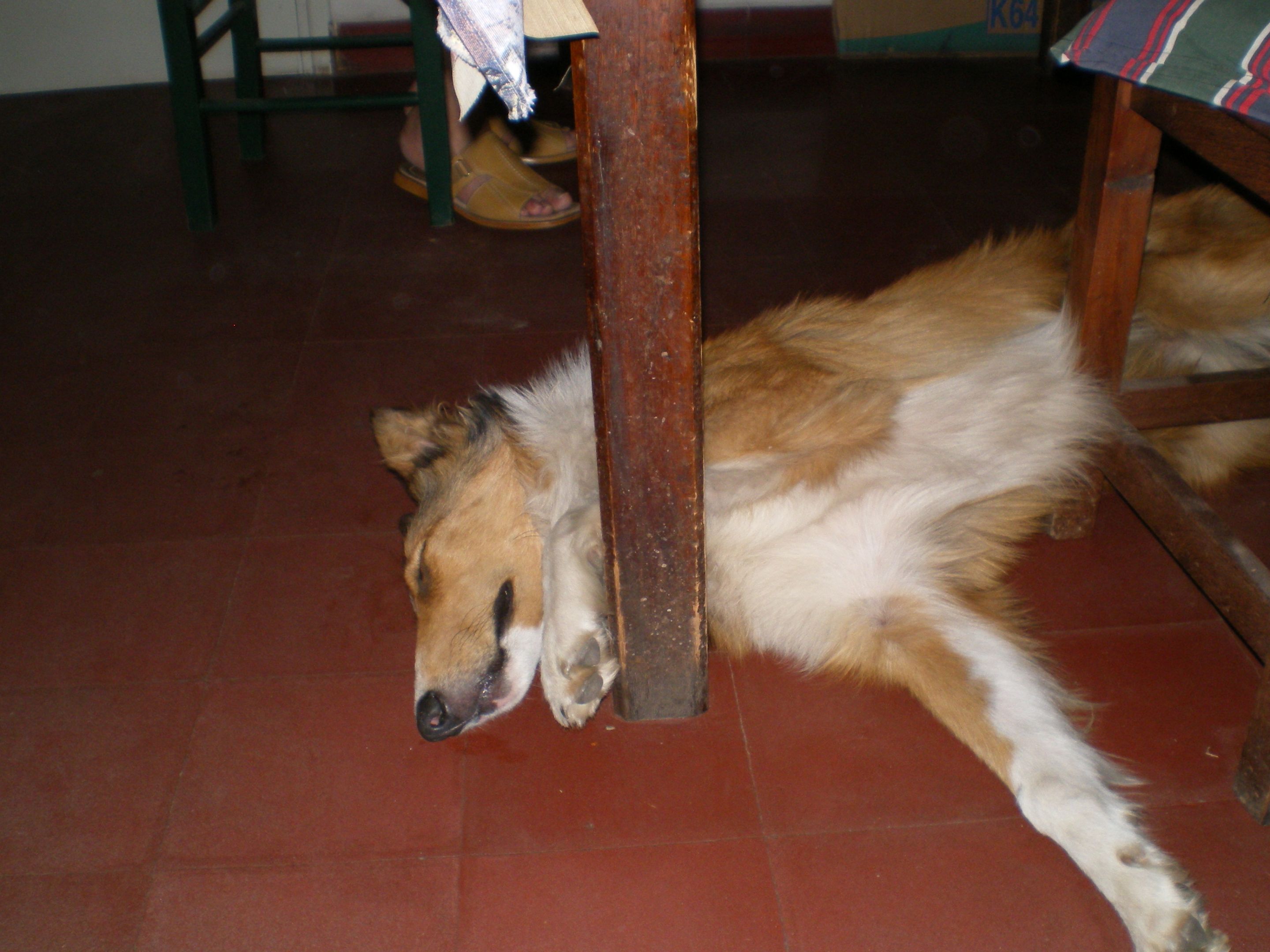 166.-IMGP0964.JPG