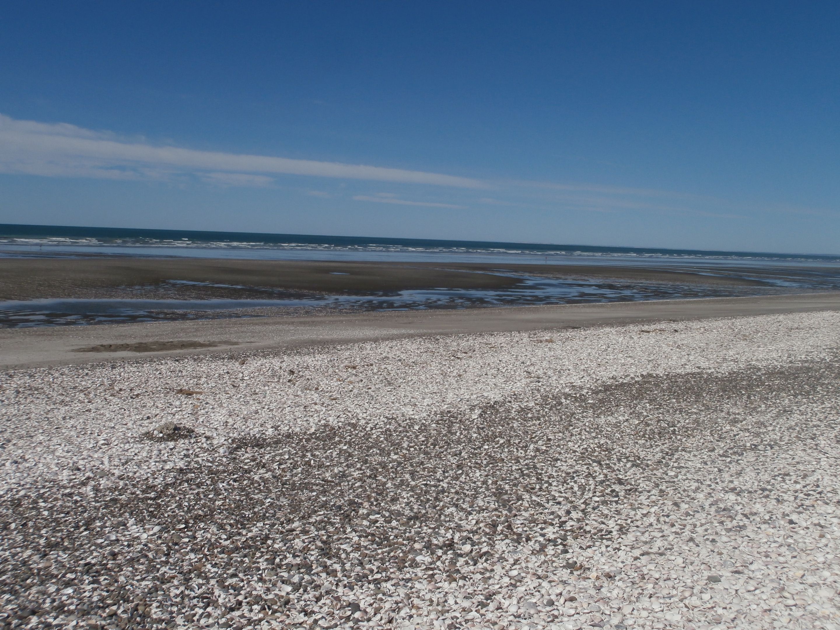 294.-P1170065.JPG