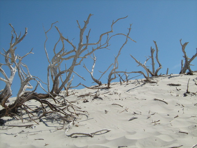 309.-SARDEGNA 2009 644.jpg