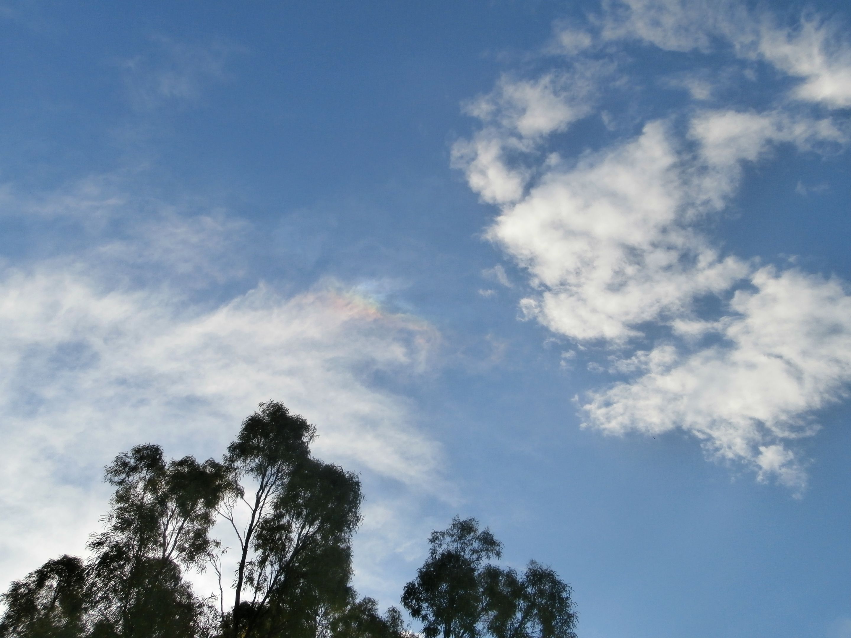 305.-P2080196.JPG