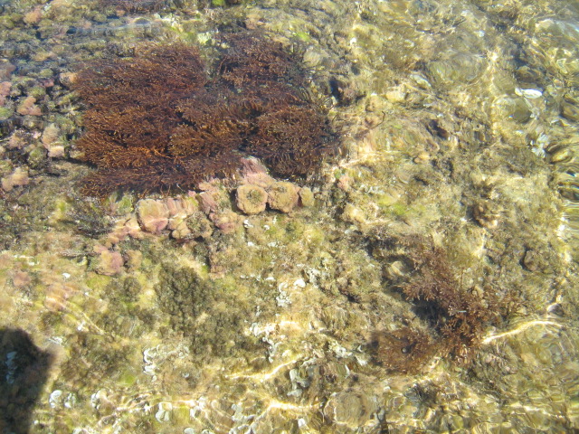 309.-SARDEGNA 2009 722.jpg