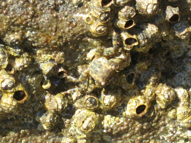 345.-SARDEGNA 2009 741.jpg