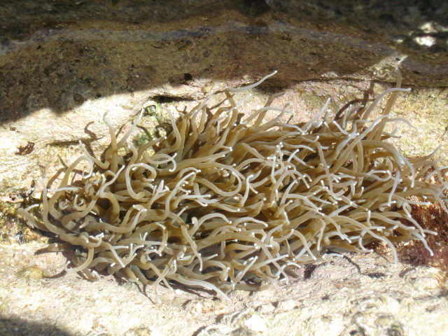 345.-SARDEGNA 2009 749.jpg