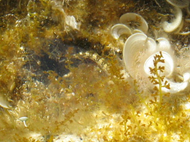 345.-SARDEGNA 2009 743.jpg