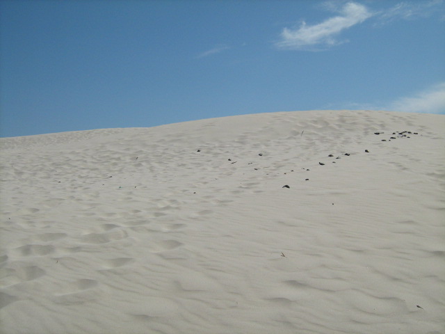 309.-SARDEGNA 2009 632.jpg