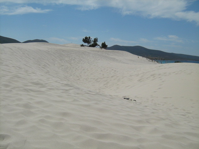309.-SARDEGNA 2009 634.jpg