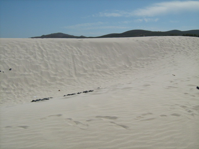 309.-SARDEGNA 2009 633.jpg