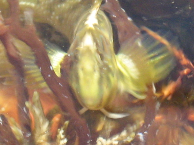 345.-SARDEGNA 2009 747.jpg