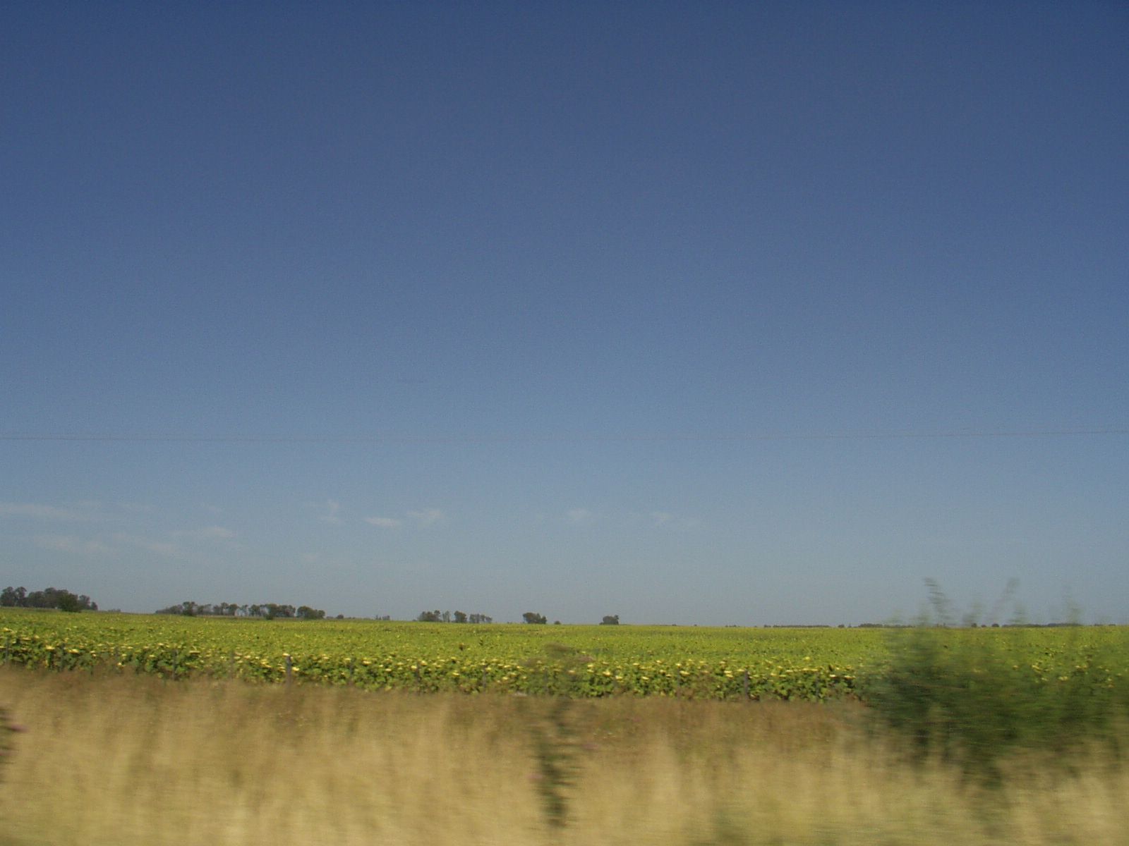 P3160083.JPG