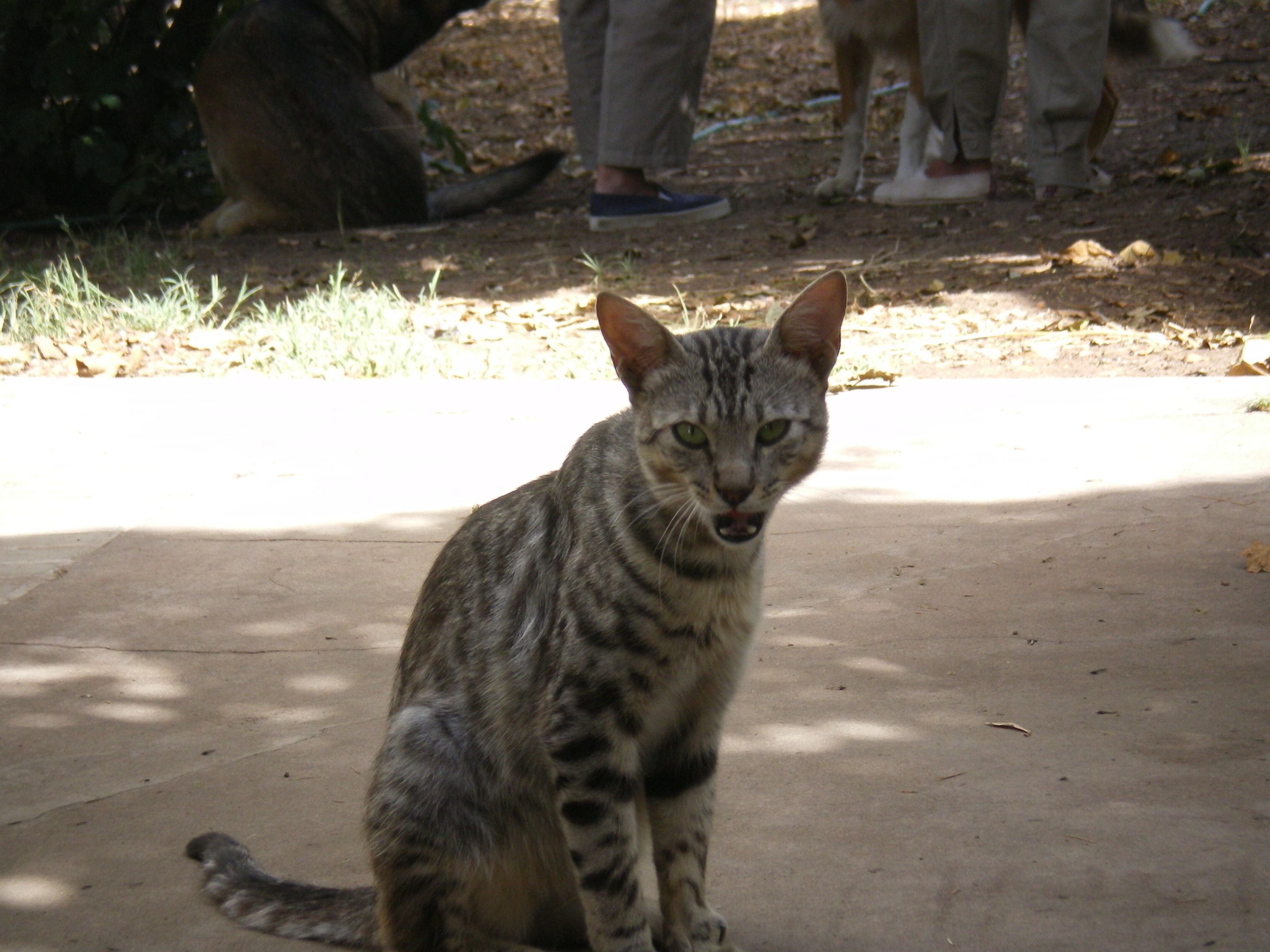 166.-IMGP1006.JPG