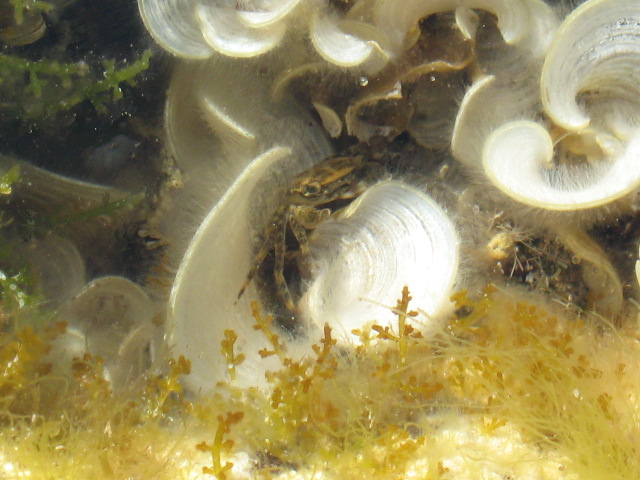 345.-SARDEGNA 2009 740.jpg