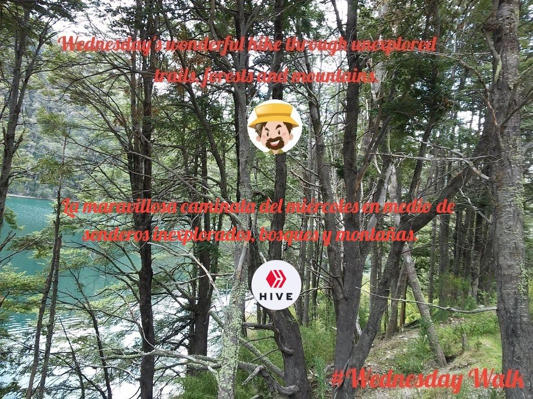 279.-Imagen-inicial-del-post-collage.jpg