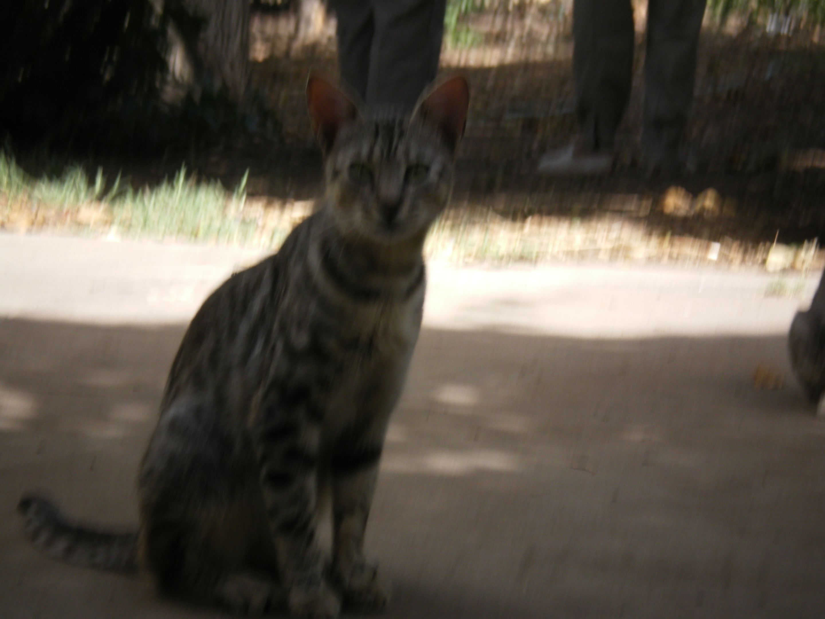 166.-IMGP1004.JPG