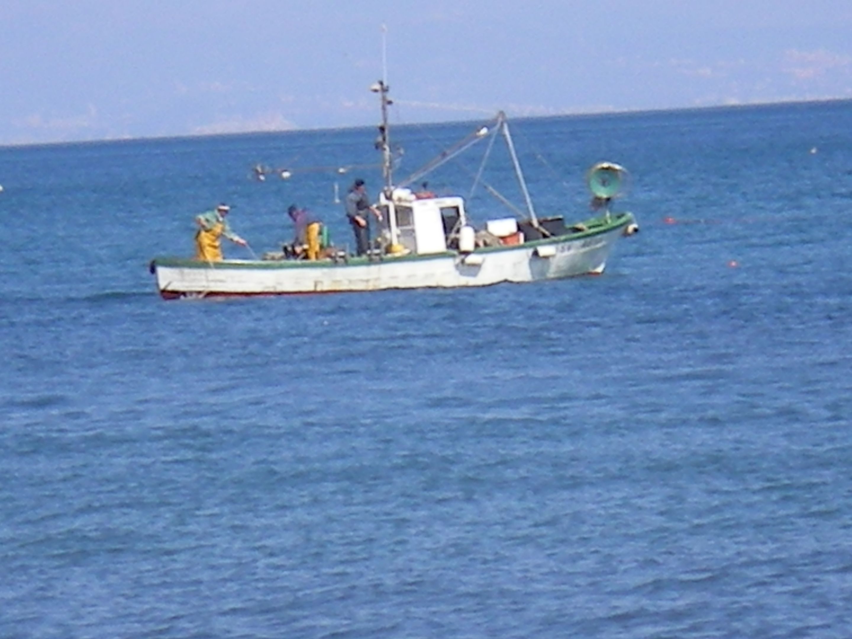 IMGP0760.JPG
