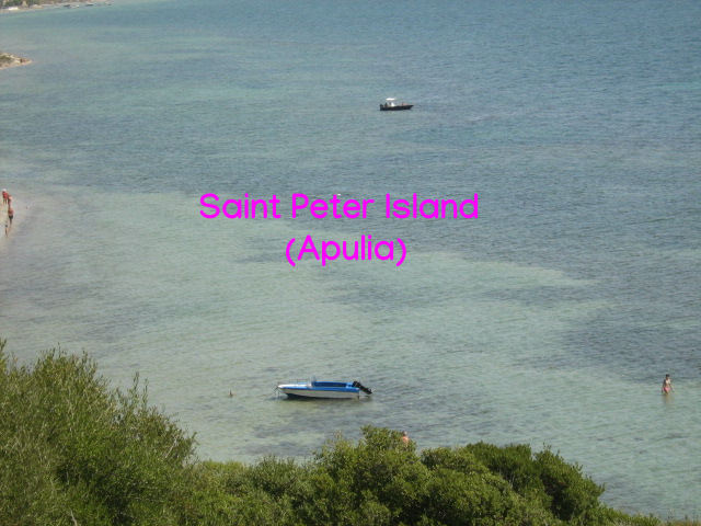 108.-SARDEGNA 2009 135-con-intestazione-.png