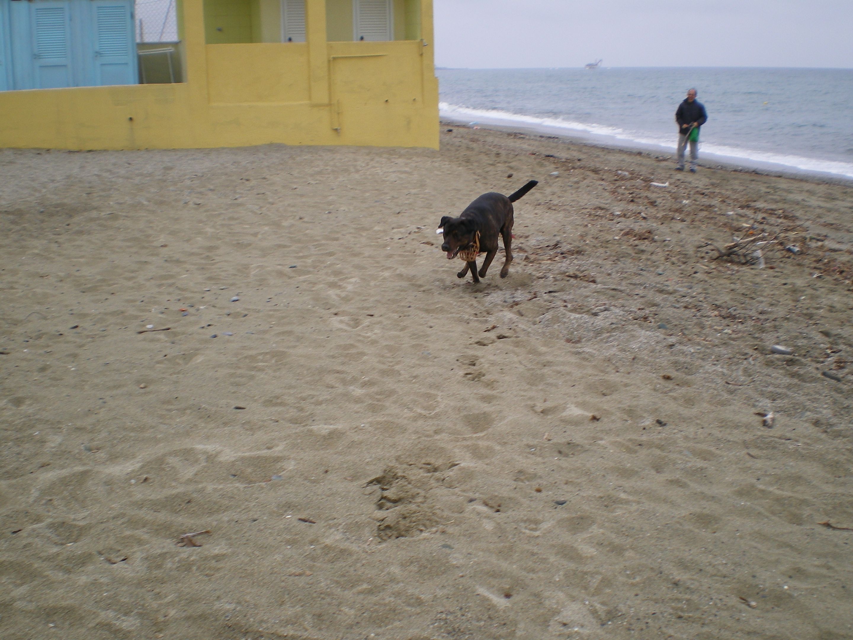 356.-IMGP0718.JPG
