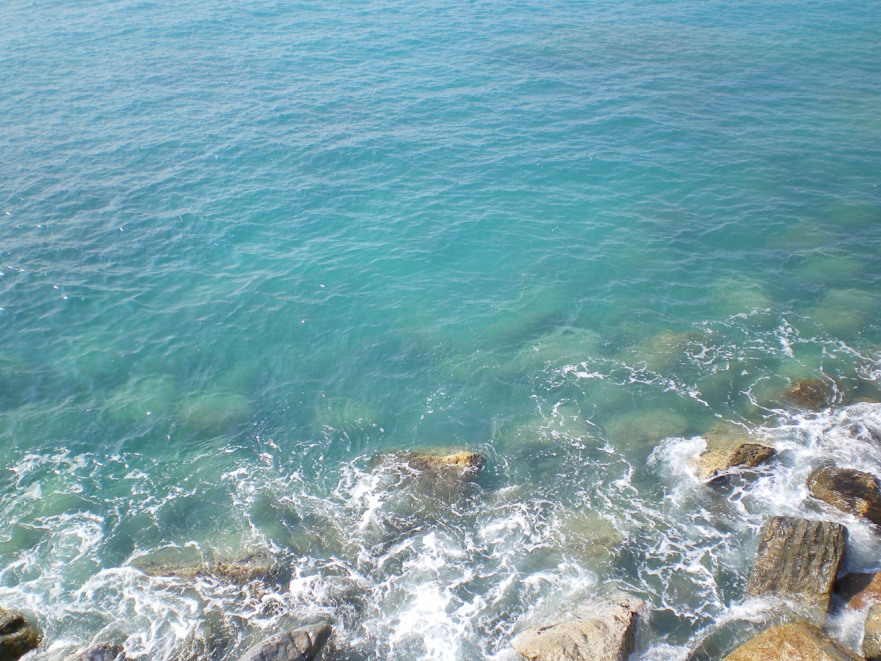 174.-IMGP1251.JPG