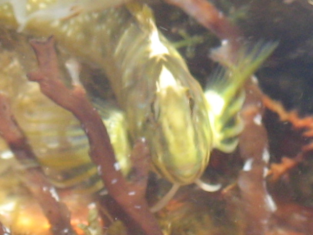 345.-SARDEGNA 2009 746.jpg