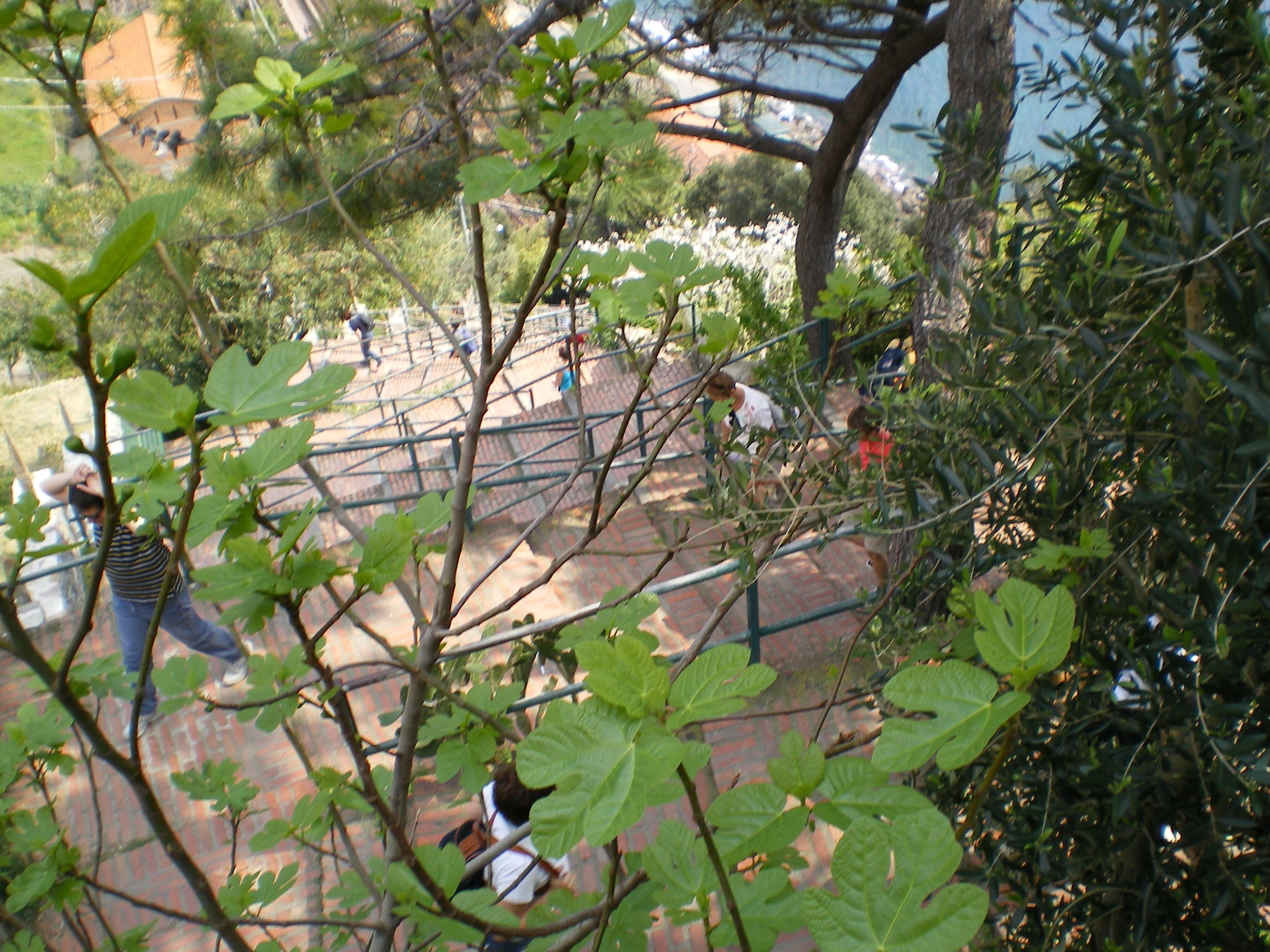187.-IMGP1282.JPG