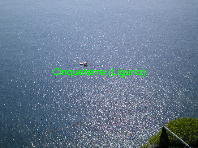 174.-IMGP1271.png