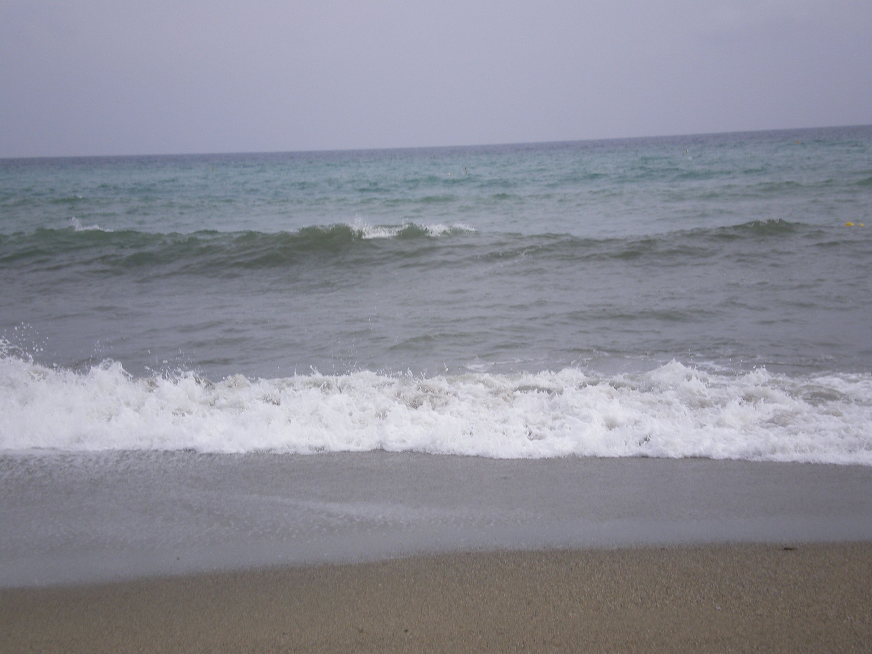 IMGP0733.JPG