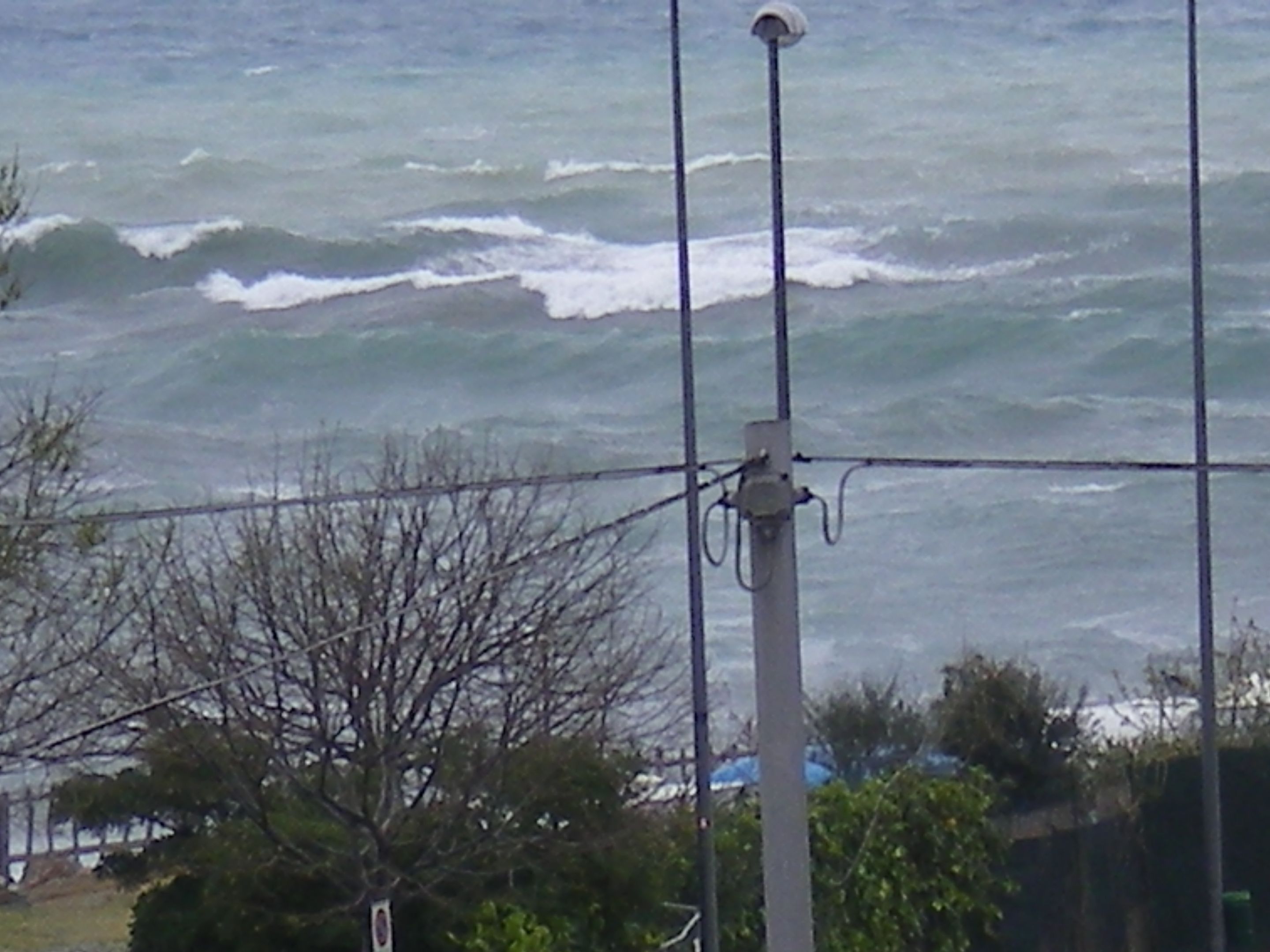 174.-IMGP1220.JPG