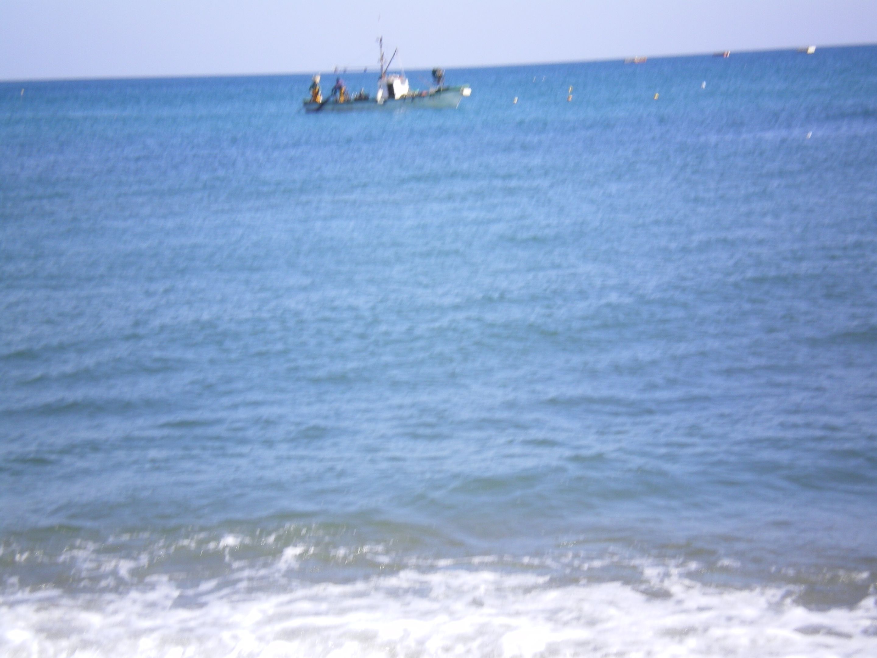 IMGP0762.JPG