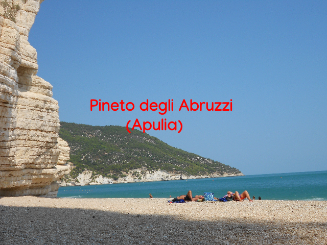 139.-DSCN0793con-intestazion-.png