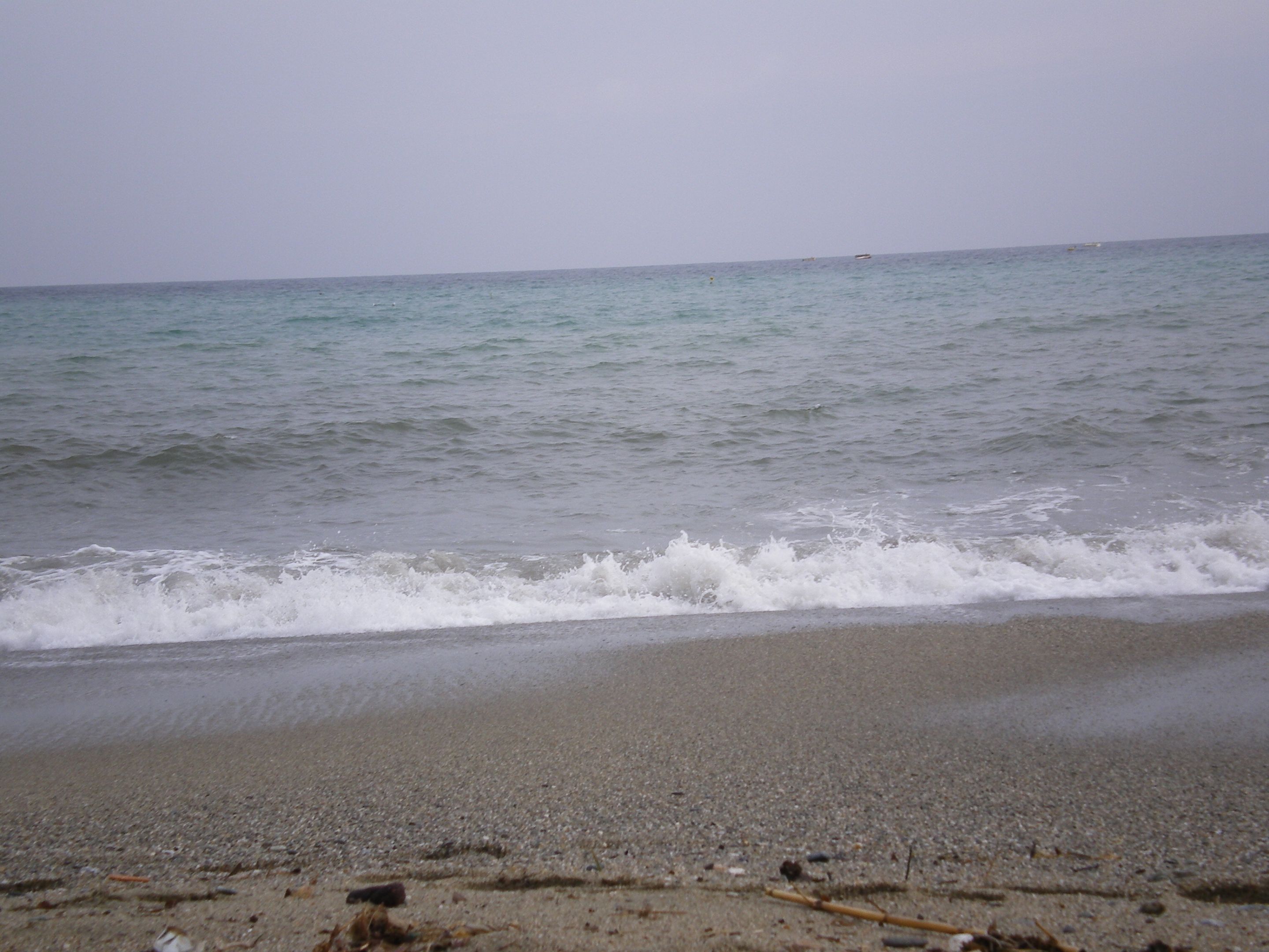 IMGP0736.JPG