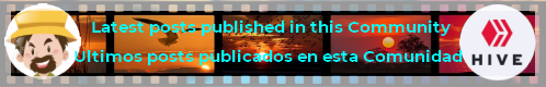 banner-film-latest-articles-published-ENG-ESP-.1668918_960_720.png