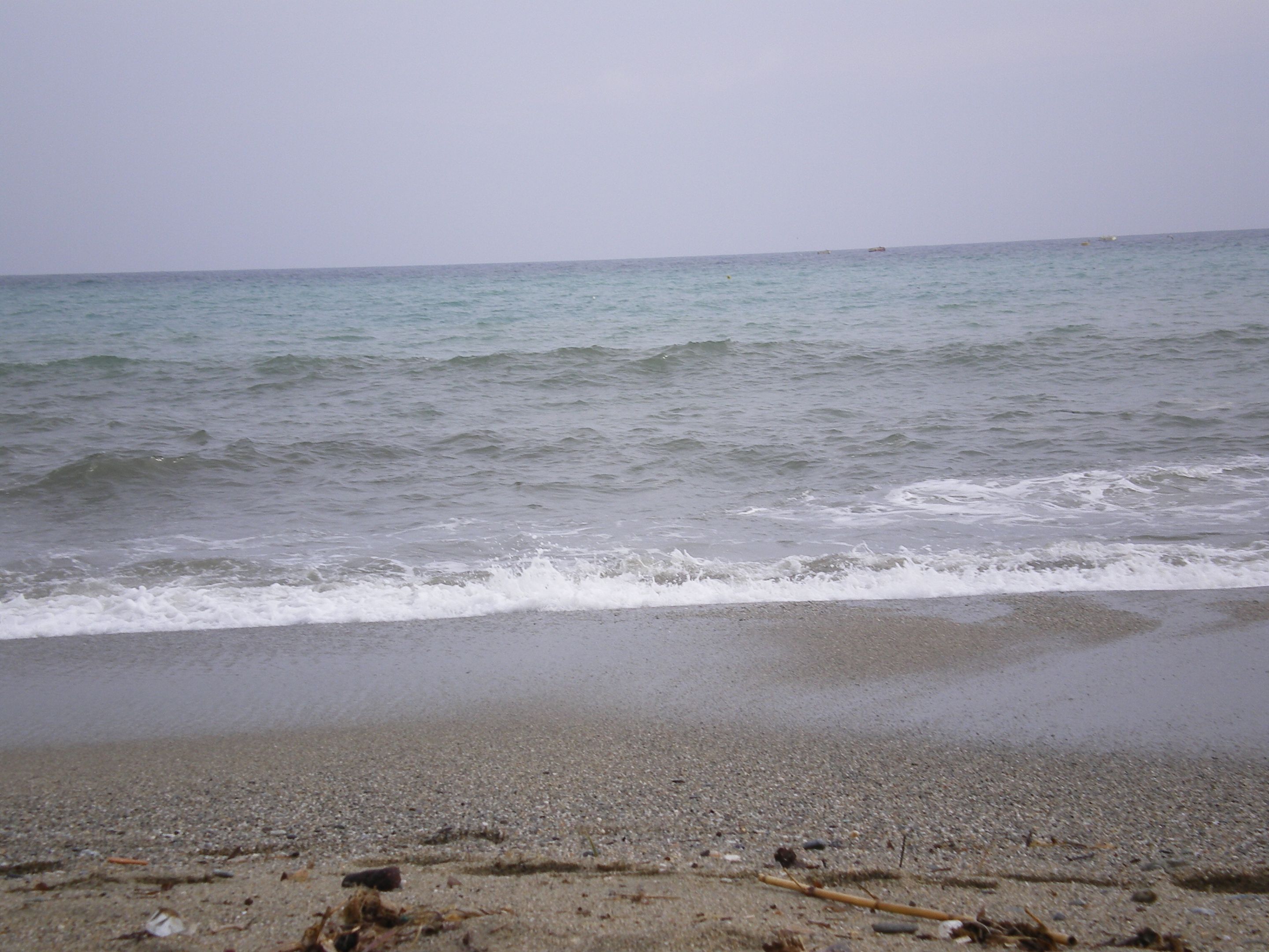 IMGP0735.JPG