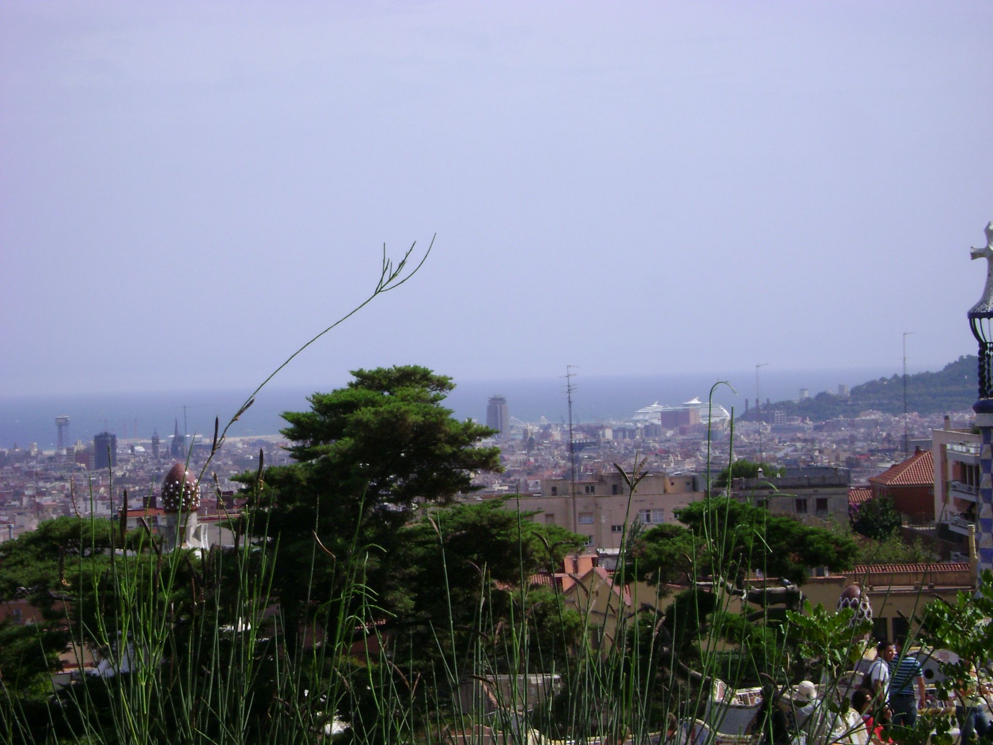 230.-DSC00835.JPG