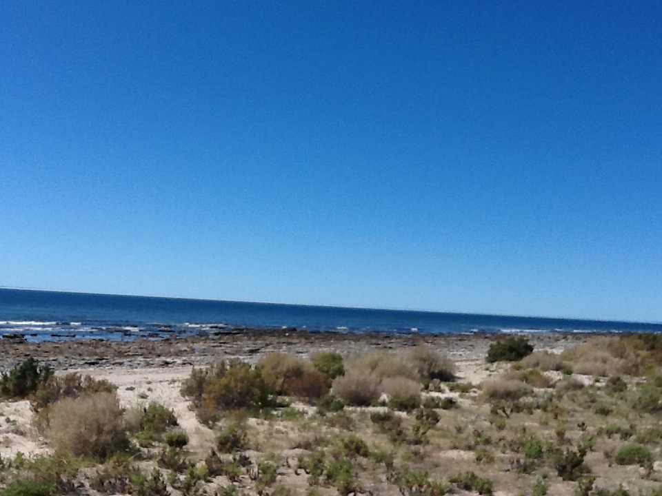 164.-patagonia-viaje-Gianna-Renato10.JPG