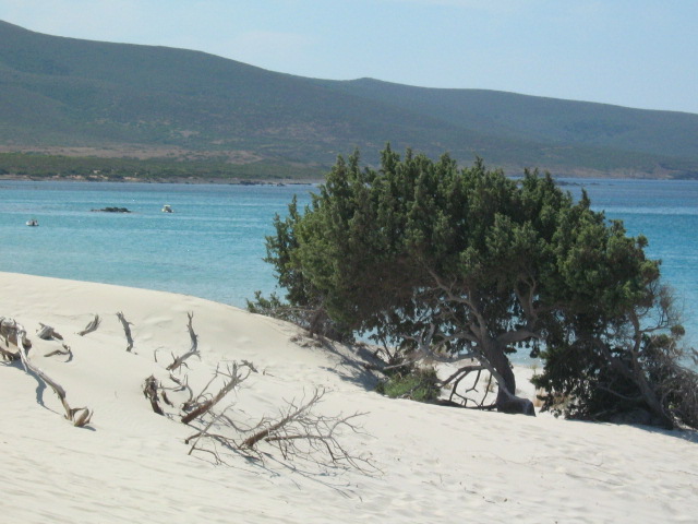 309.-SARDEGNA 2009 642.jpg