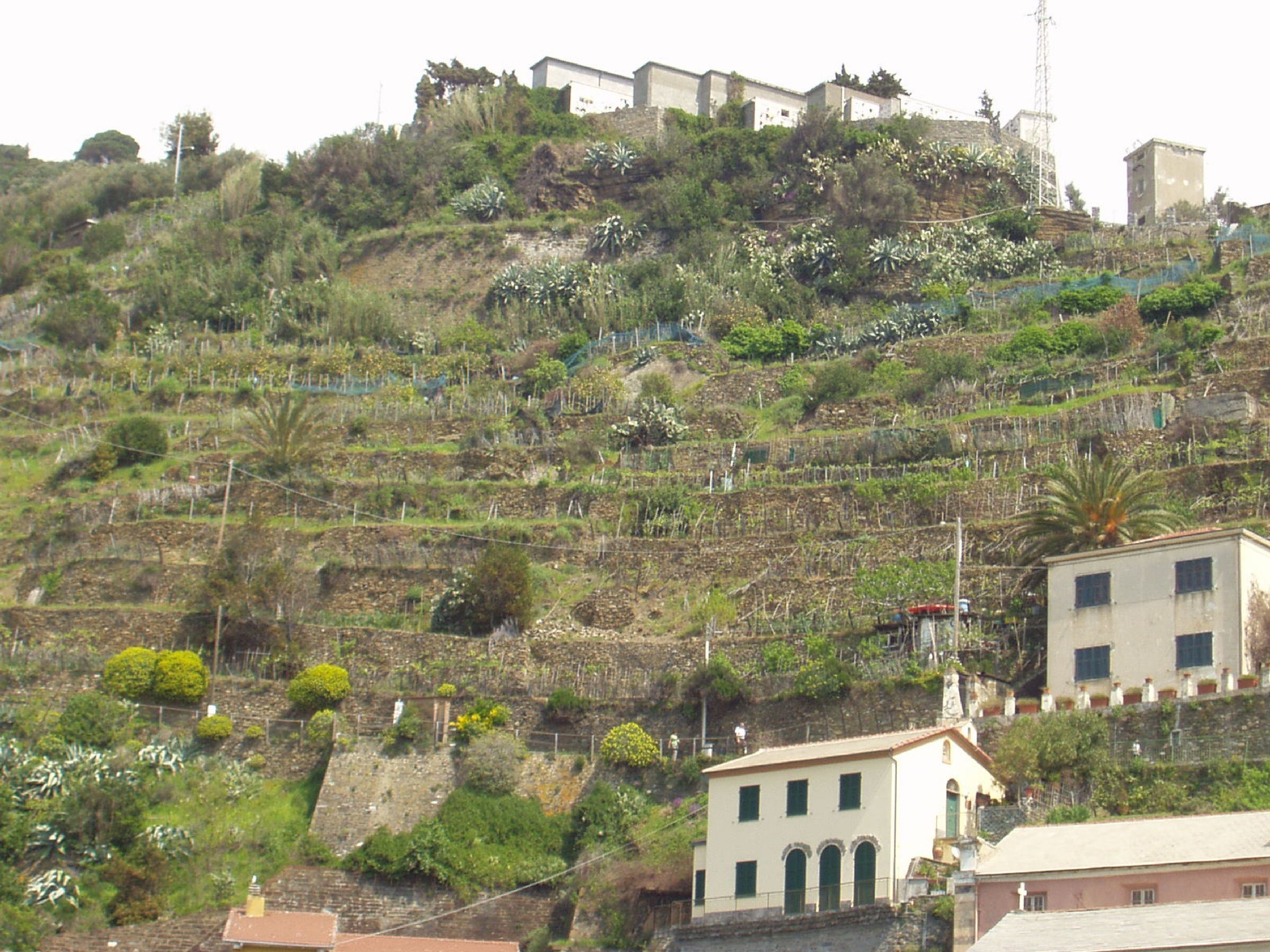 179.-P5210044.JPG