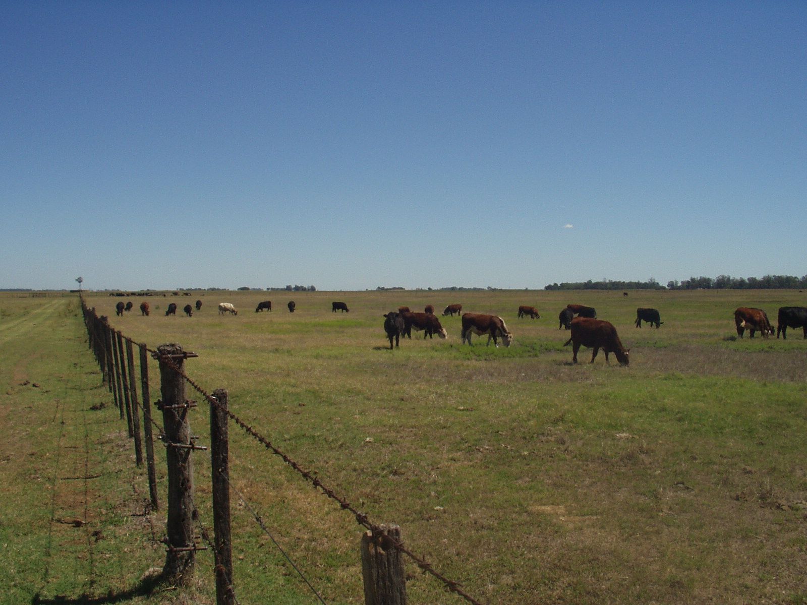 Argentina 2007 088.jpg