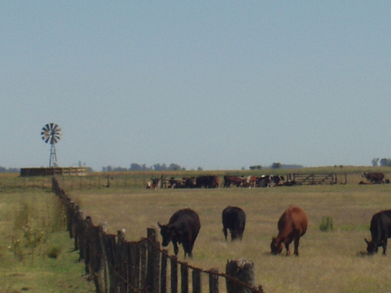 Argentina 2007 089.jpg