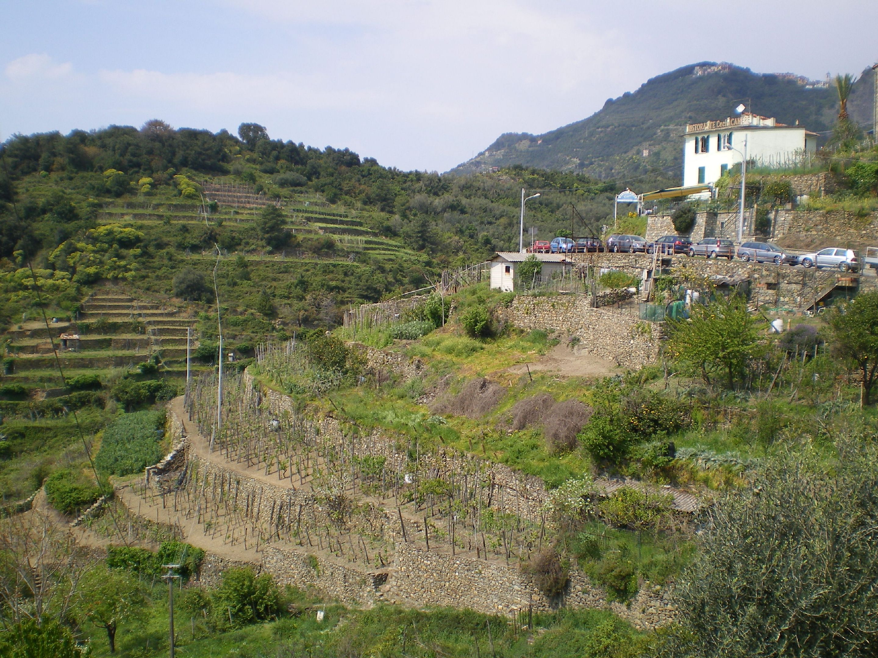 187.-IMGP1269.JPG