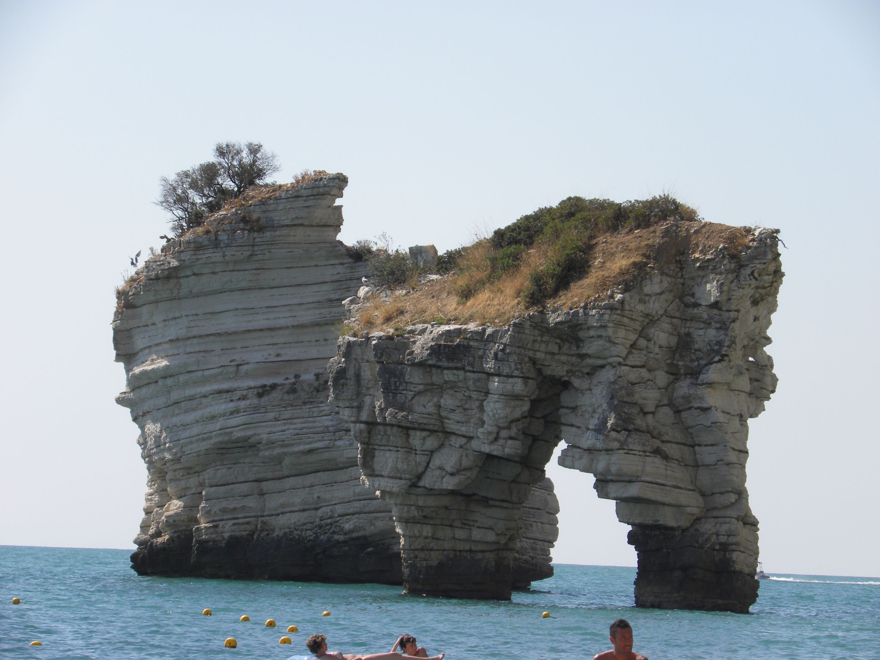 DSCN1920.JPG