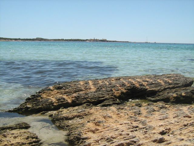 345.-SARDEGNA 2009 323.-272.jpg
