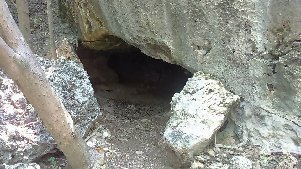 1161.jpg