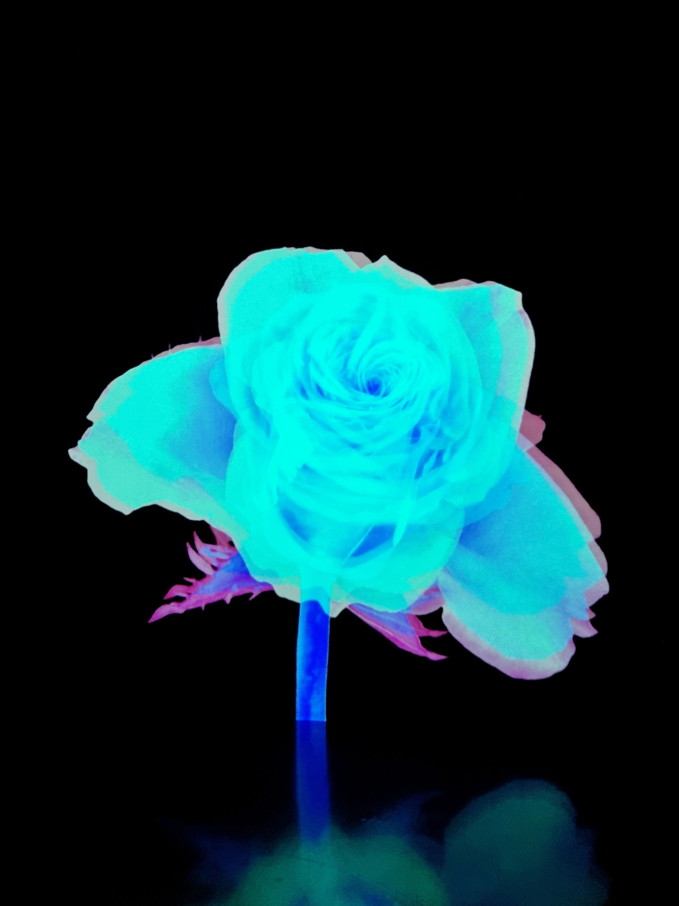 20250220_202200.jpg
