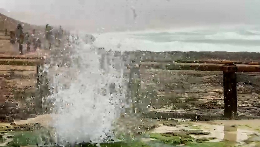 1356.jpg