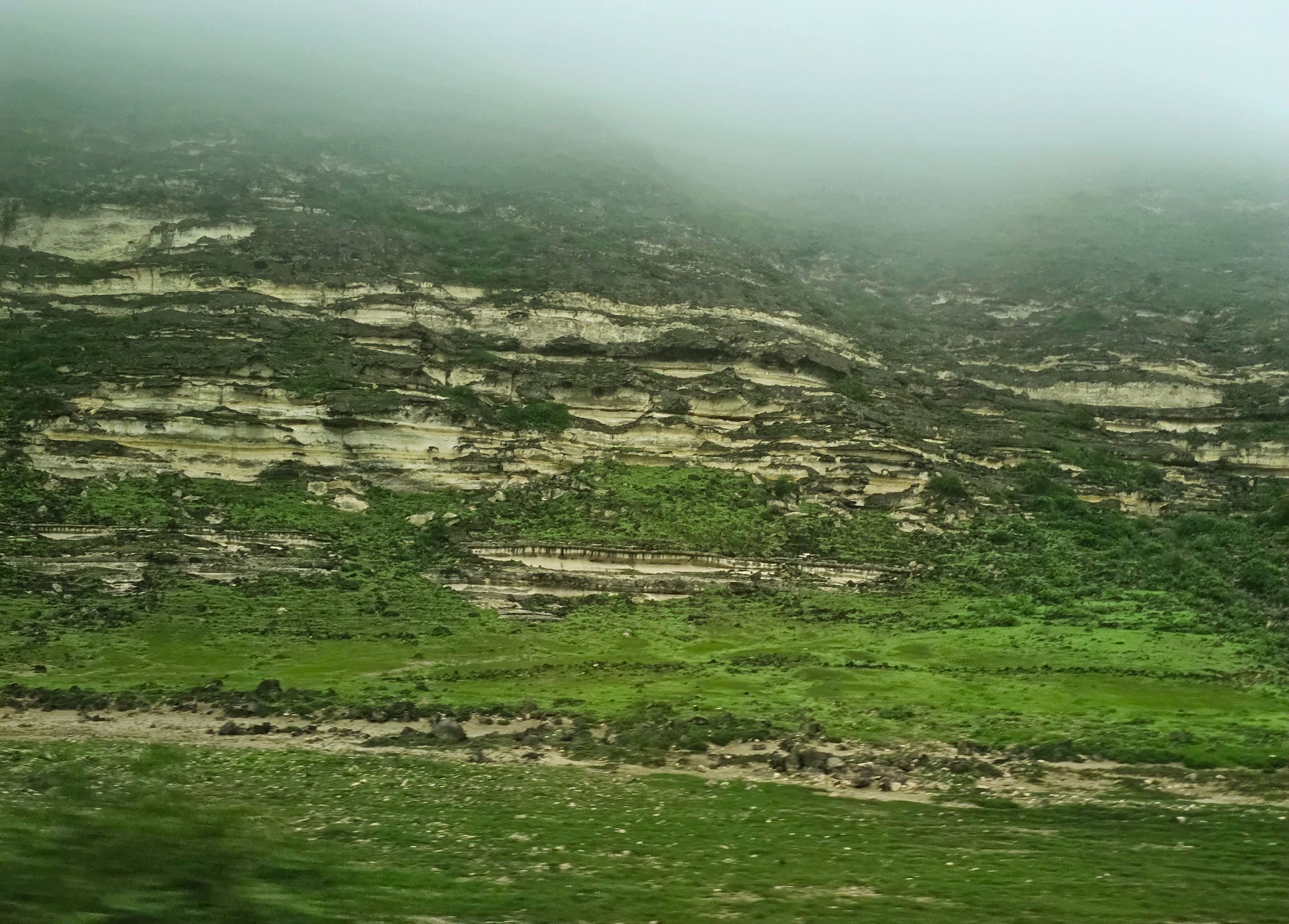 20250905_172131.jpg